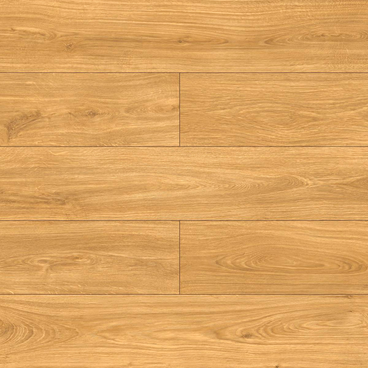 Forte Roble Adagio 843867