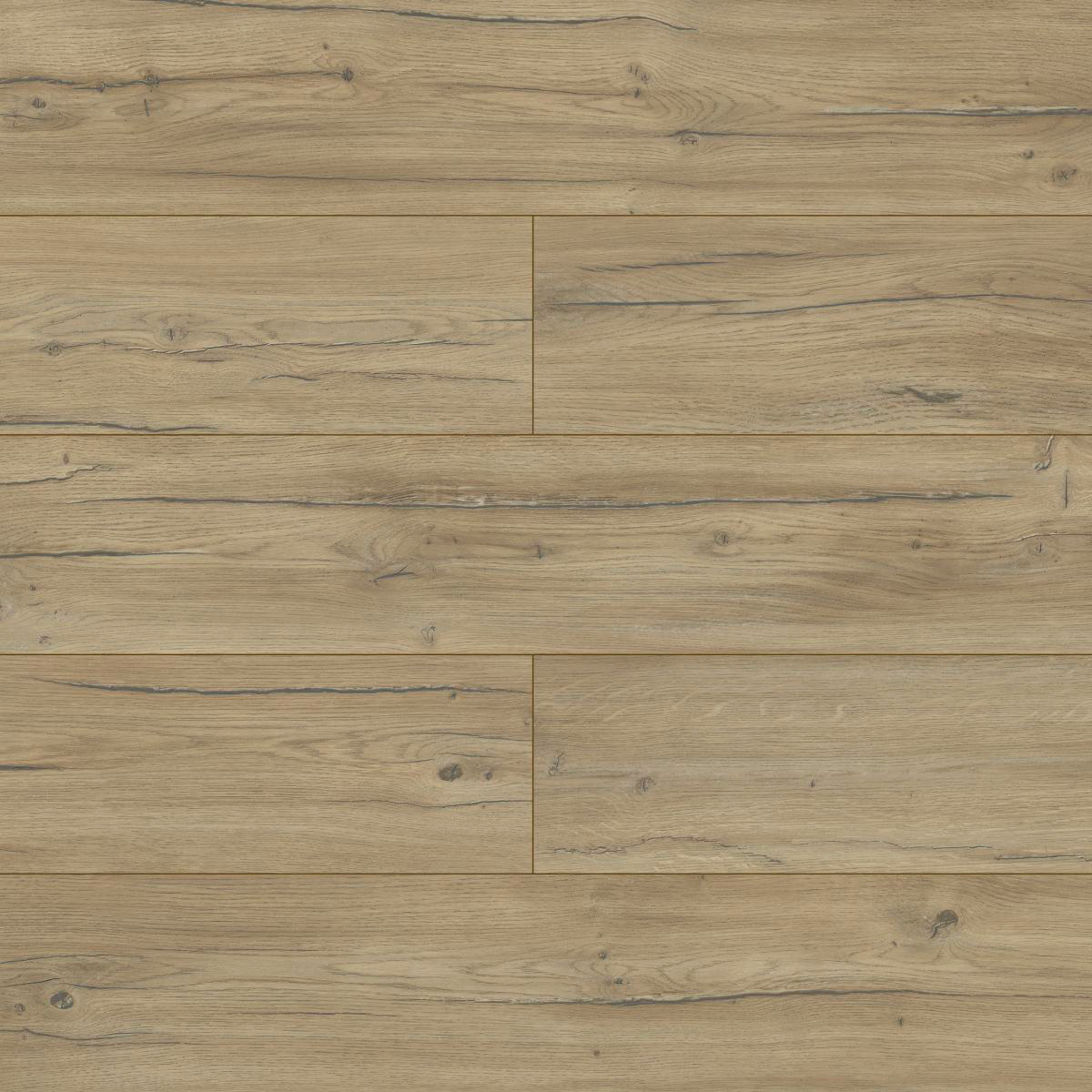 VOLO - Roble Condor D40254